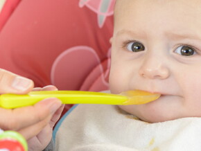 The Explorer Eater from around seven months The Explorer Eater from around seven months