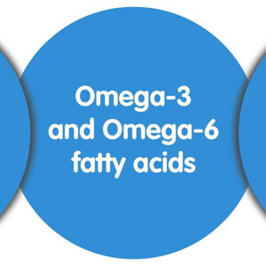 The Smarts of Omega