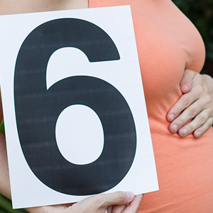 The Sixth Month of Pregnancy 
