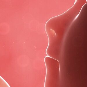 Third Trimester