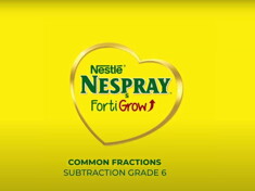 Grade 6 (Common Fractions – Subtraction) 4