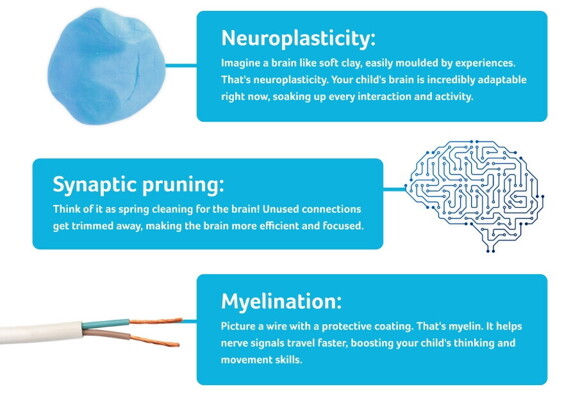 Images with definitions Images with definitions