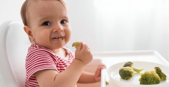 Baby eating broccoli in a high chair, wearing a striped shirt.